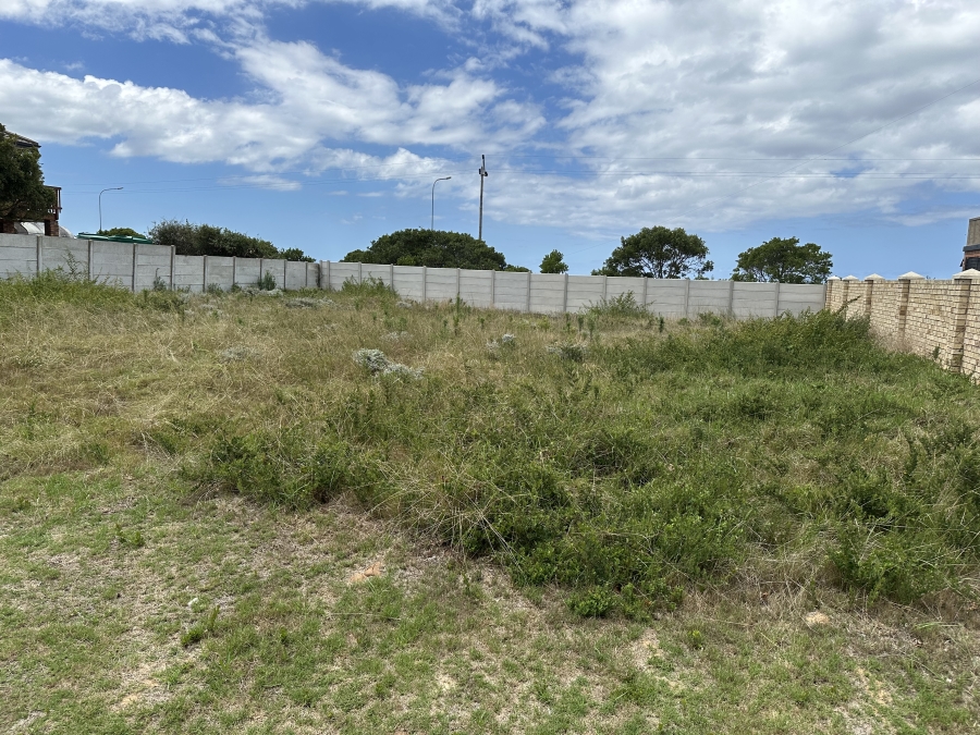 0 Bedroom Property for Sale in Reebok Western Cape